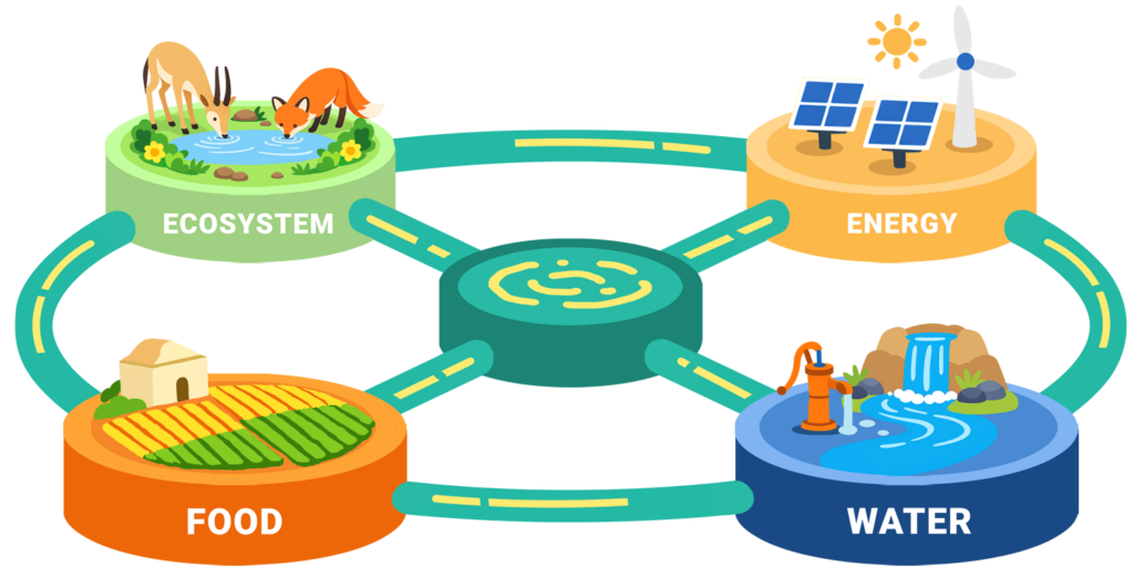 Understanding the WEFE Nexus